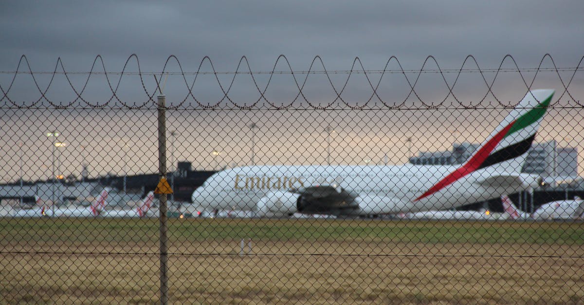 Comparing Timber Windows to Other Materials for Businesses