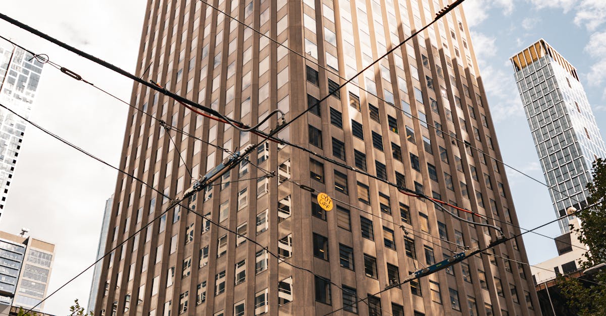 Energy Efficiency of Frameless Glass Windows: What You Need to Know