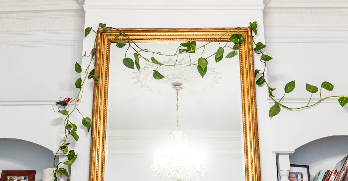 How Double Glazed Windows Improve Indoor Comfort