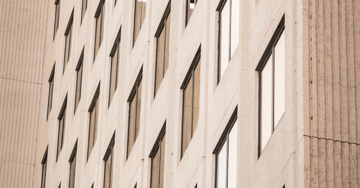 How Effective Window Security Can Reduce Insurance Premiums