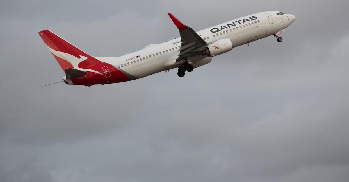 How Energy Efficient Windows Can Lower Your Business's Utility Bills