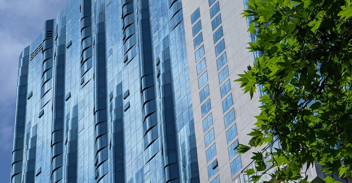 Questions to Gauge Customer Support from Window Replacement Companies