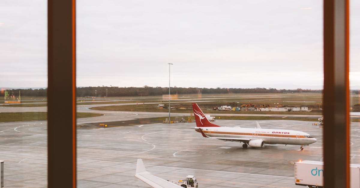 The Impact of Positive Customer Feedback on Your Window Selection Process