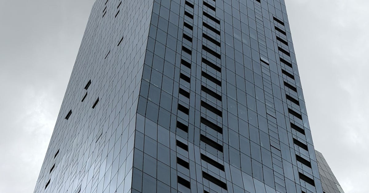 The Role of Client References in Choosing a Window Replacement Service