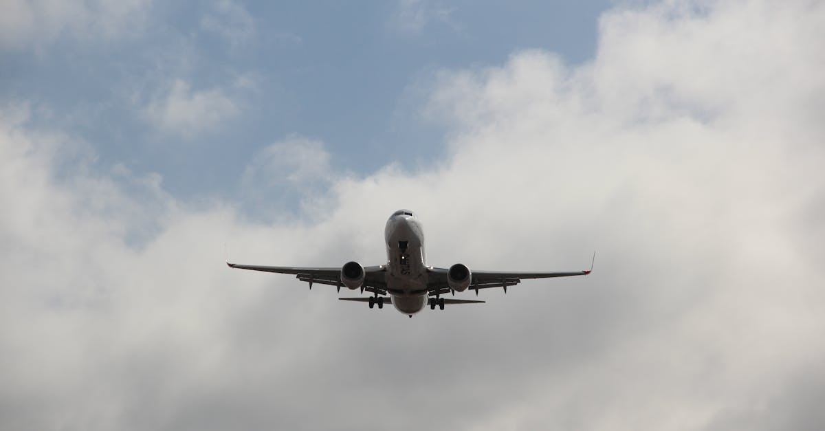 Transforming Your Commercial Space with Stylish Window Designs