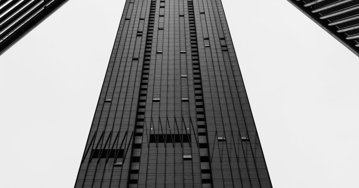 Understanding the Importance of Licensing and Insurance for Window Installers