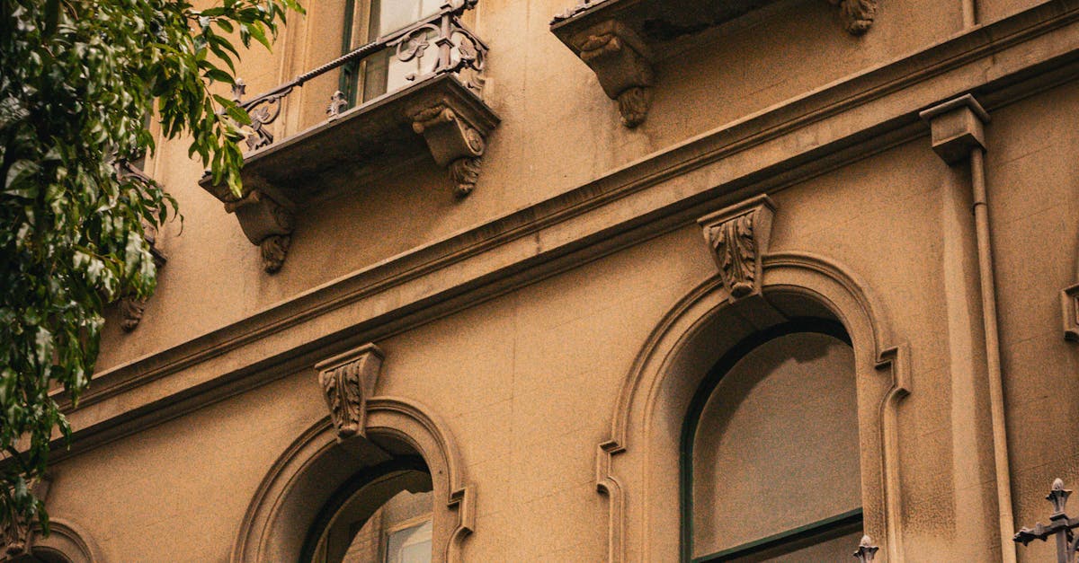 Understanding the Role of Customer Reviews in Window Replacement Decisions